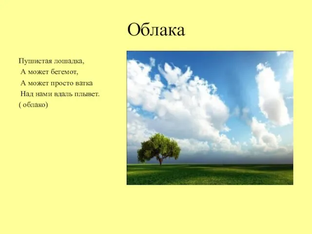 Облака Пушистая лошадка, А может бегемот, А может просто ватка Над нами вдаль плывет. ( облако)