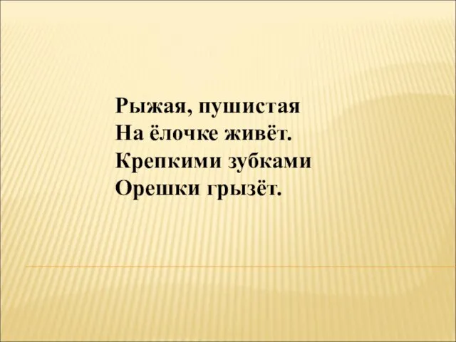 Рыжая, пушистая На ёлочке живёт. Крепкими зубками Орешки грызёт.