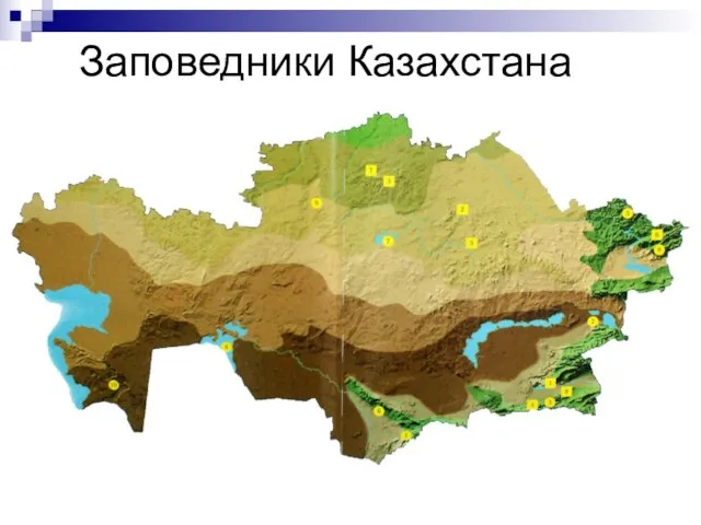 Заповедники Казахстана