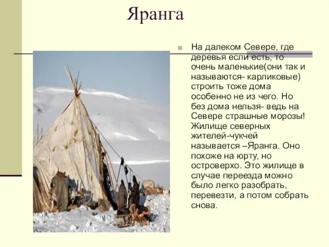 Яранга На далеком Севере, где деревья если есть, то очень маленькие(они так