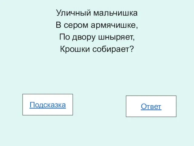 Уличный мальчишка В сером армячишке, По двору шныряет, Крошки собирает? Подсказка Ответ