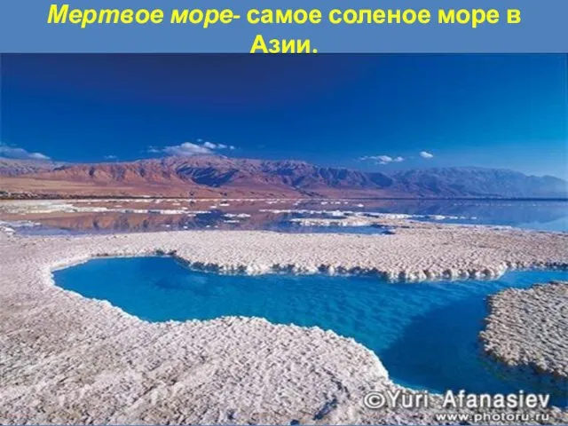 Мертвое море- самое соленое море в Азии.