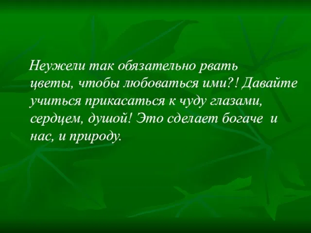 Неужели так обязательно рвать цветы, чтобы любоваться ими?! Давайте учиться прикасаться к