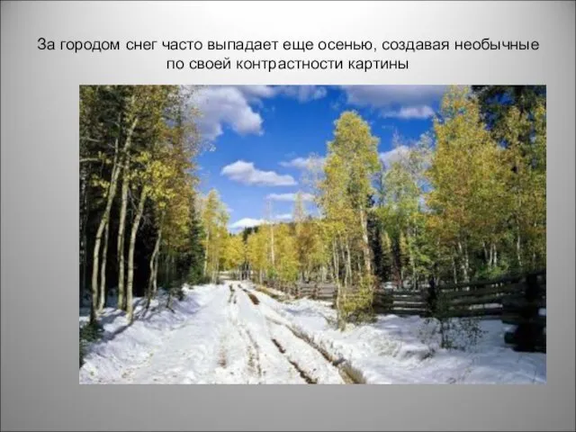 За городом снег часто выпадает еще осенью, создавая необычные по своей контрастности картины