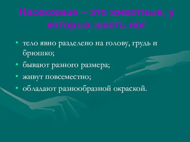 тело явно разделено на голову, грудь и брюшко; бывают разного размера; живут