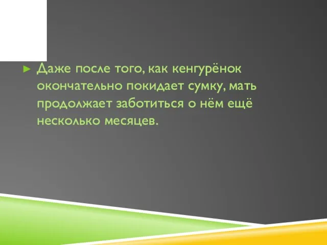 Даже после того, как кенгурёнок окончательно покидает сумку, мать продолжает заботиться о нём ещё несколько месяцев.