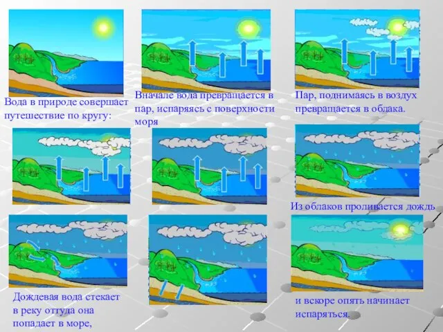 Вода в природе совершает путешествие по кругу: Вначале вода превращается в пар,