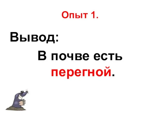 Опыт 1. Вывод: В почве есть перегной.