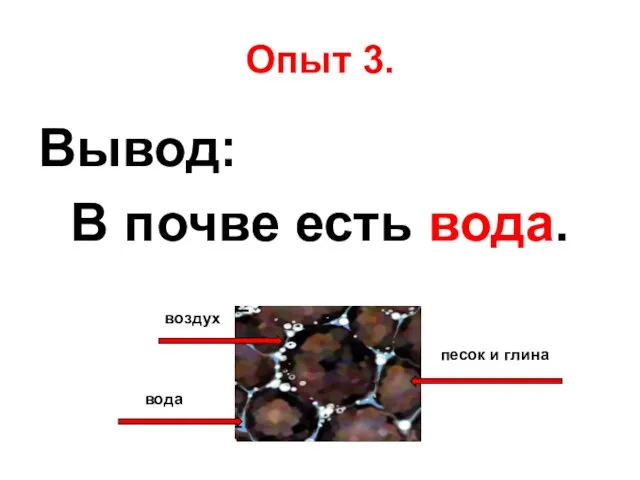 Опыт 3. Вывод: В почве есть вода. вода воздух песок и глина