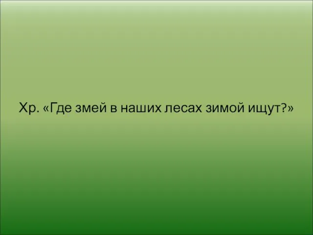 Хр. «Где змей в наших лесах зимой ищут?»