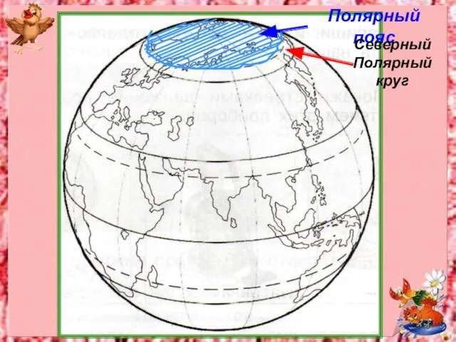 Полярный пояс Северный Полярный круг