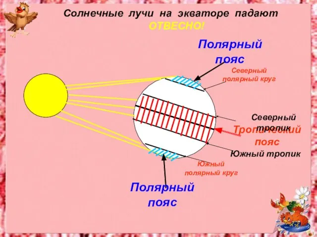 Полярный пояс Полярный пояс Южный полярный круг Северный полярный круг Солнечные лучи