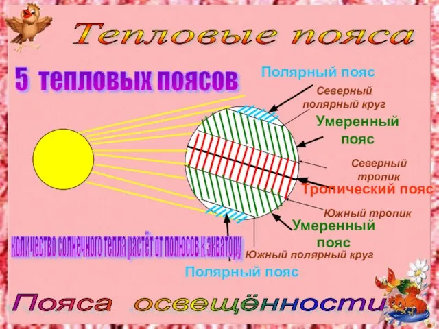 Полярный пояс Полярный пояс Южный полярный круг Северный полярный круг Тропический пояс