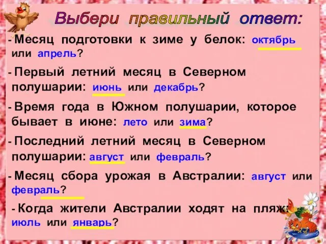 Месяц подготовки к зиме у белок: октябрь или апрель? Первый летний месяц