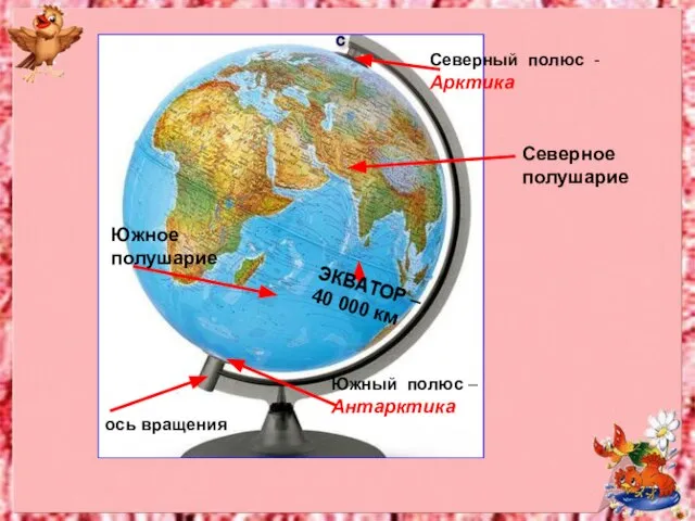 ось вращения Южный полюс –Антарктика с Северный полюс - Арктика ЭКВАТОР –