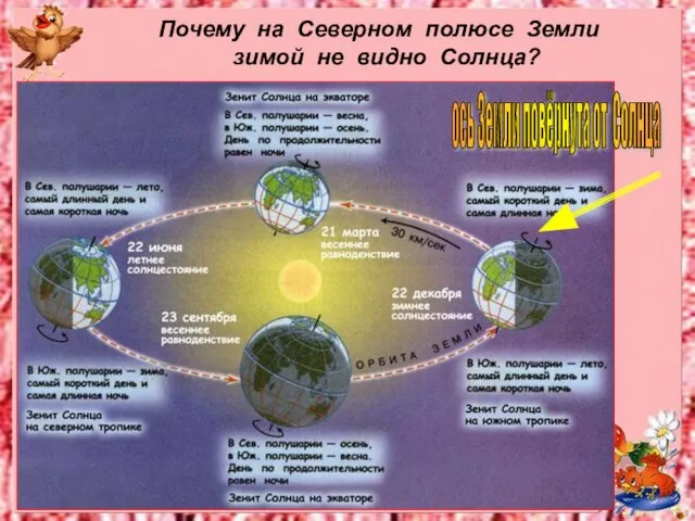 Почему на Северном полюсе Земли зимой не видно Солнца? ось Земли повёрнута от Солнца