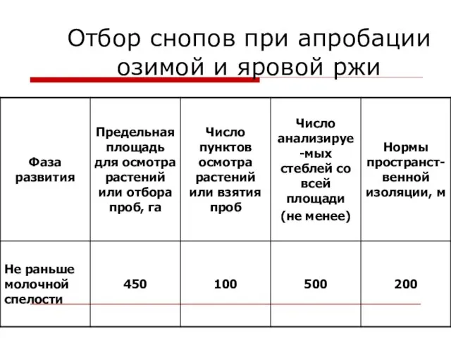 Отбор снопов при апробации озимой и яровой ржи