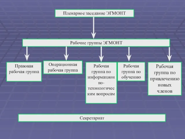 Пленарное заседание ЭГМОНТ Рабочие группы ЭГМОНТ Правовая рабочая группа Операционная рабочая группа