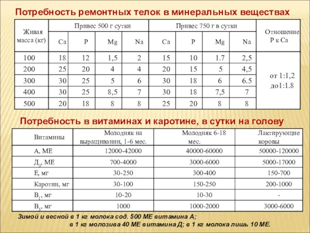 Потребность ремонтных телок в минеральных веществах Потребность в витаминах и каротине, в