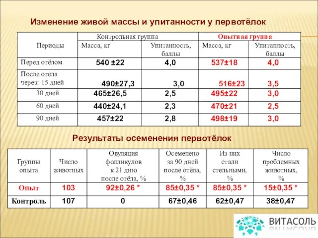 Изменение живой массы и упитанности у первотёлок Результаты осеменения первотёлок