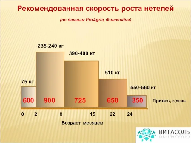 Рекомендованная скорость роста нетелей (по данным ProAgria, Финляндия) Привес, г/день Возраст, месяцев