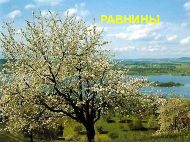 РАВНИНЫ