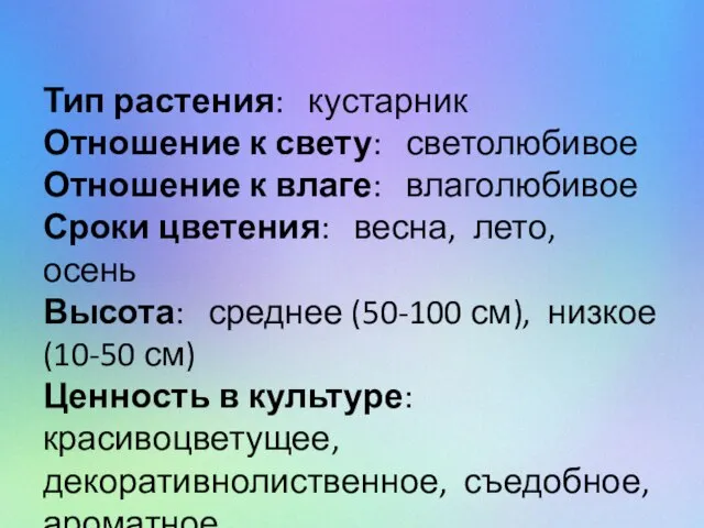 Тип растения: кустарник Отношение к свету: светолюбивое Отношение к влаге: влаголюбивое Сроки