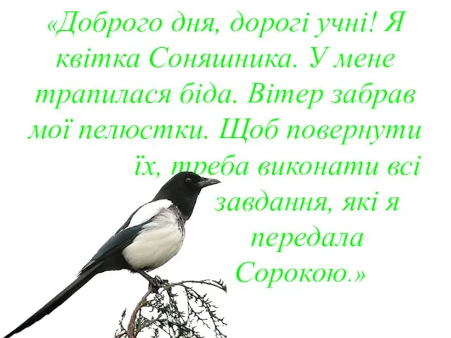 «Доброго дня, дорогі учні! Я квітка Соняшника. У мене трапилася біда. Вітер