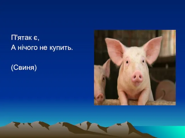 П'ятак є, А нічого не купить. (Свиня)