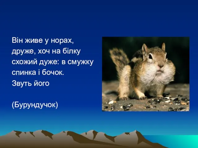 Він живе у норах, друже, хоч на білку схожий дуже: в смужку