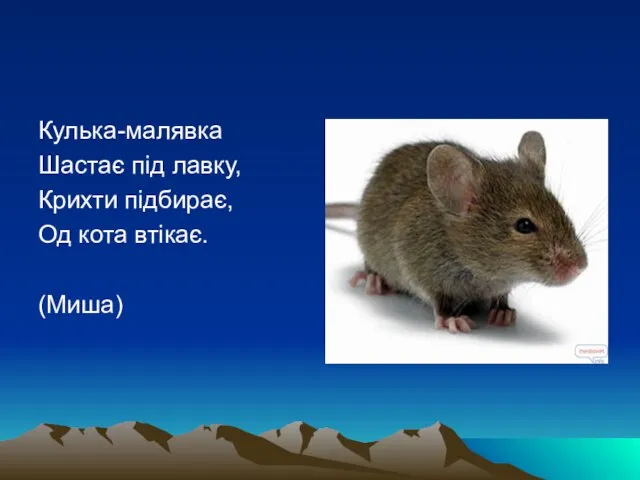 Кулька-малявка Шастає під лавку, Крихти підбирає, Од кота втікає. (Миша)