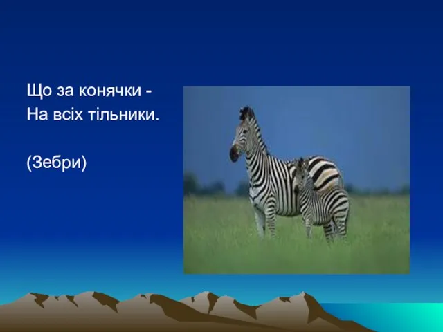 Що за конячки - На всіх тільники. (Зебри)