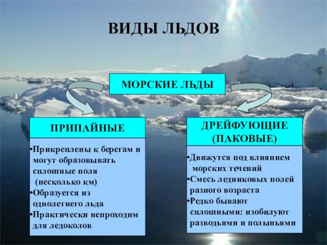 ВИДЫ ЛЬДОВ МОРСКИЕ ЛЬДЫ ПРИПАЙНЫЕ ДРЕЙФУЮЩИЕ (ПАКОВЫЕ) Прикреплены к берегам и могут