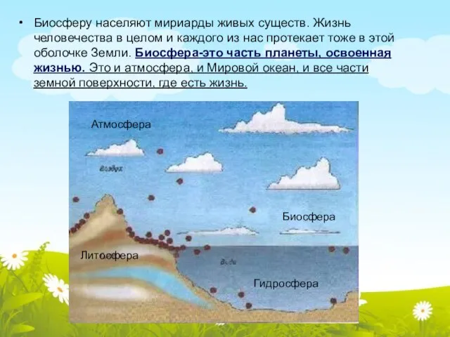 Биосферу населяют мириарды живых существ. Жизнь человечества в целом и каждого из