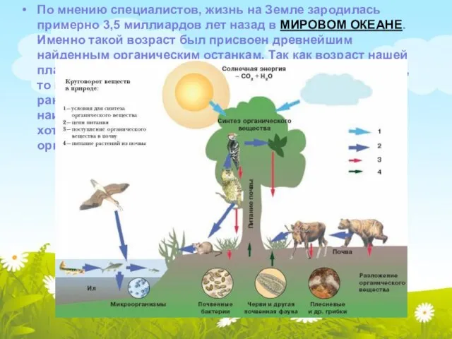 По мнению специалистов, жизнь на Земле зародилась примерно 3,5 миллиардов лет назад