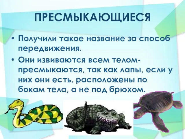 ПРЕСМЫКАЮЩИЕСЯ Получили такое название за способ передвижения. Они извиваются всем телом- пресмыкаются,