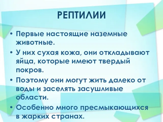 РЕПТИЛИИ Первые настоящие наземные животные. У них сухая кожа, они откладывают яйца,