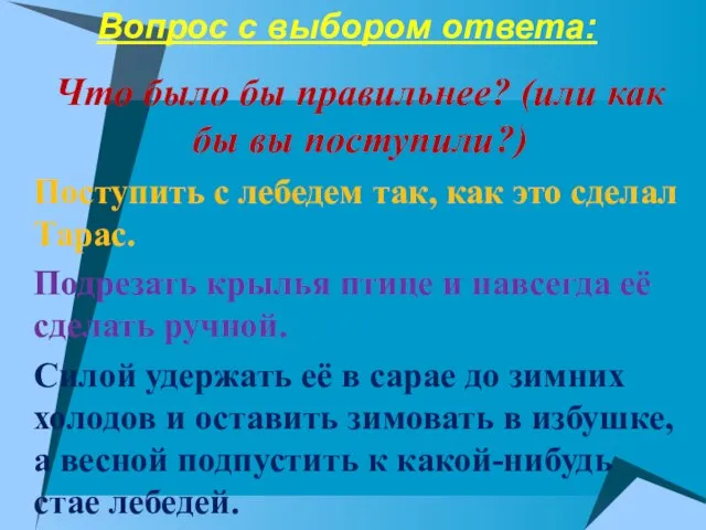 Вопрос с выбором ответа: Что было бы правильнее? (или как бы вы