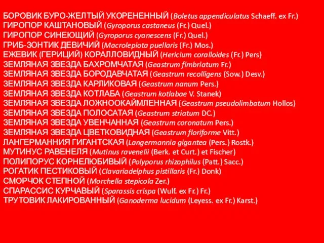 БОРОВИК БУРО-ЖЕЛТЫЙ УКОРЕНЕННЫЙ (Boletus appendiculatus Schaeff. ex Fr.) ГИРОПОР КАШТАНОВЫЙ (Gyroporus castaneus