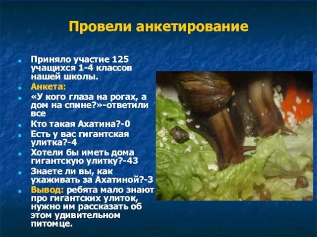 Провели анкетирование Приняло участие 125 учащихся 1-4 классов нашей школы. Анкета: «У