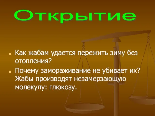 Как жабам удается пережить зиму без отопления? Почему замораживание не убивает их?