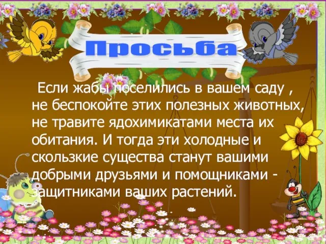 Если жабы поселились в вашем саду , не беспокойте этих полезных животных,