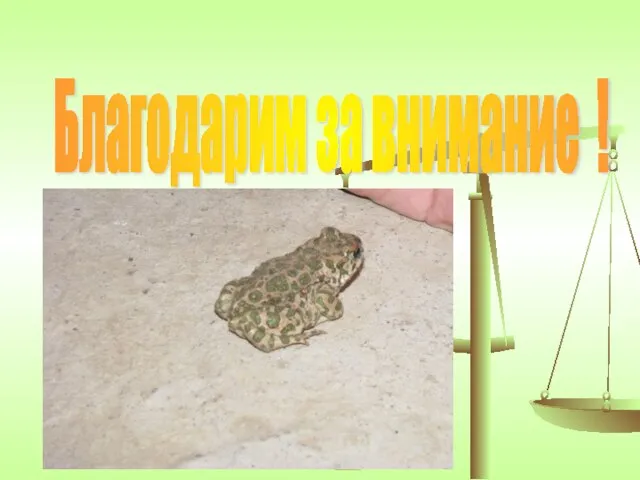 Благодарим за внимание !