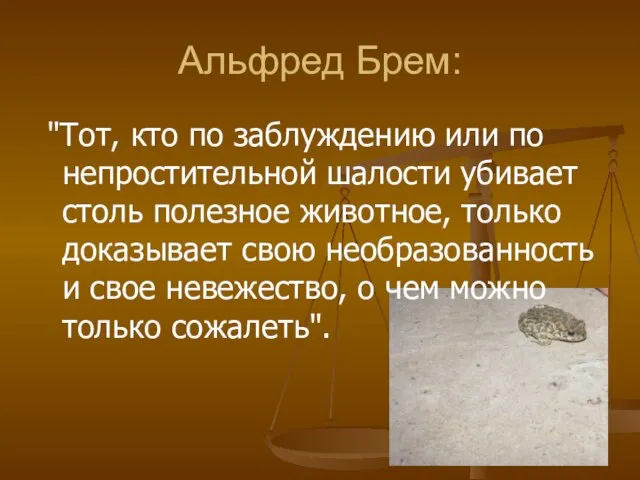 Альфред Брем: "Тот, кто по заблуждению или по непростительной шалости убивает столь