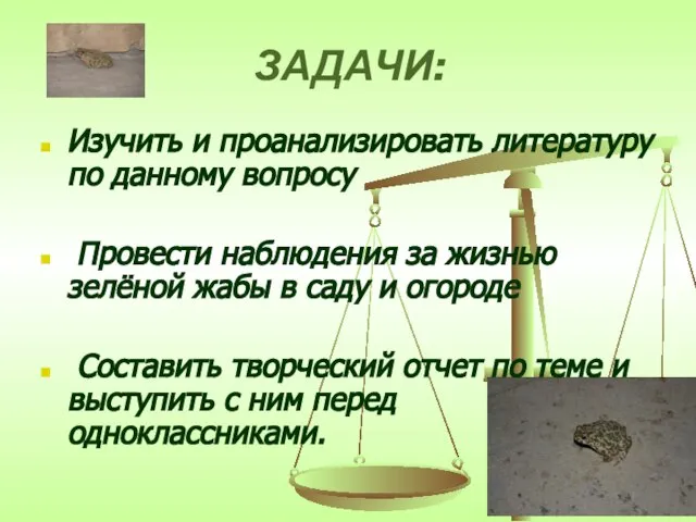 ЗАДАЧИ: Изучить и проанализировать литературу по данному вопросу Провести наблюдения за жизнью