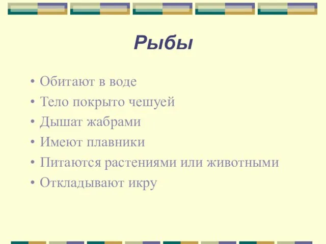 Рыбы Обитают в воде Тело покрыто чешуей Дышат жабрами Имеют плавники Питаются