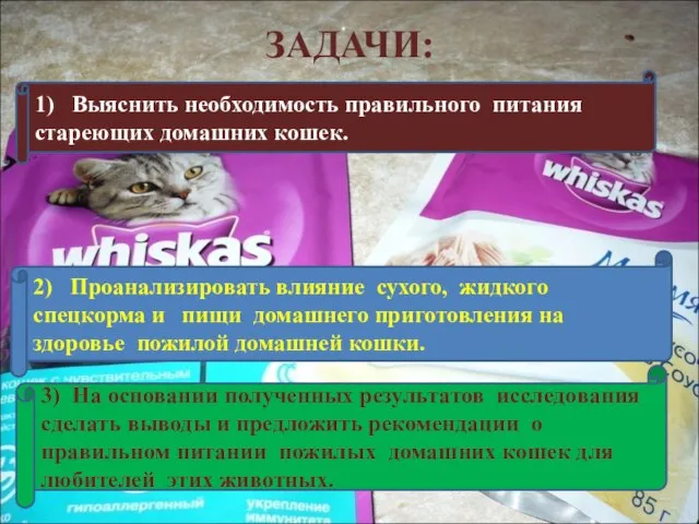 ЗАДАЧИ: 1) Выяснить необходимость правильного питания стареющих домашних кошек. 2) Проанализировать влияние