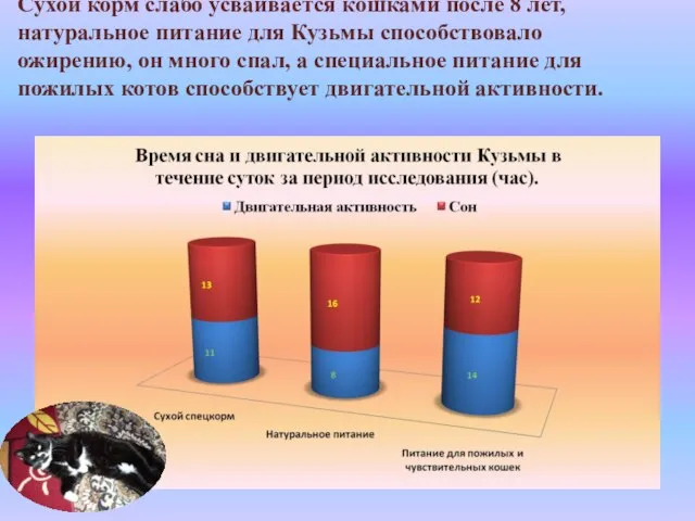 Сухой корм слабо усваивается кошками после 8 лет, натуральное питание для Кузьмы