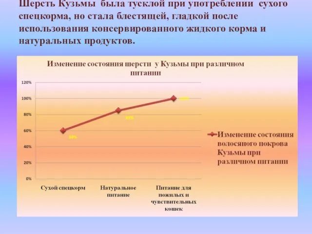 Шерсть Кузьмы была тусклой при употреблении сухого спецкорма, но стала блестящей, гладкой