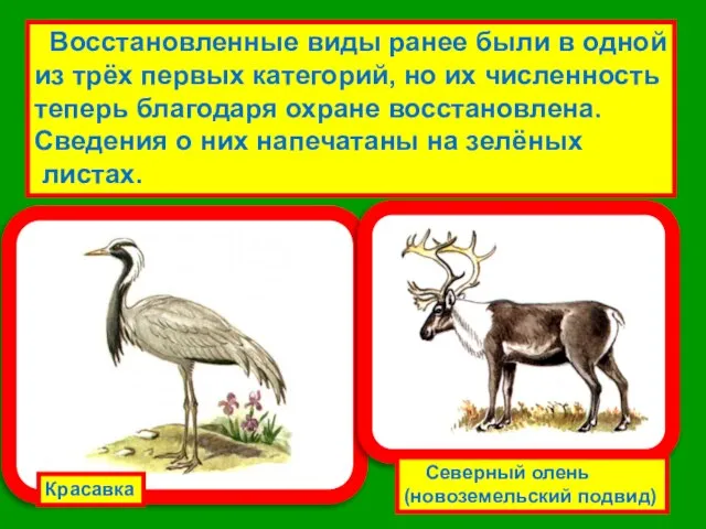 Восстановленные виды ранее были в одной из трёх первых категорий, но их